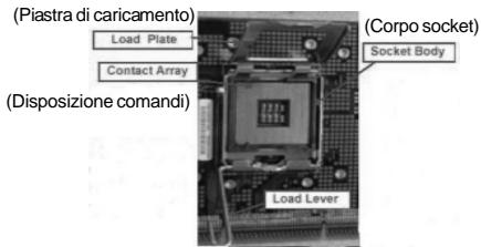 ASROCK 775V88 PLUS - Installazione del processore - 1