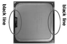 ASROCK 775V88 PLUS - 775-LAND CPU Installation - 5