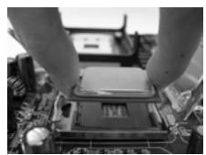 ASROCK 775V88 PLUS - Instalación de Procesador - 9