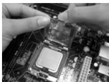 ASROCK 775V88 PLUS - Instalación de Procesador - 10