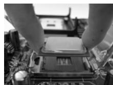 ASROCK 775V88 PLUS - Installation du CPU - 8