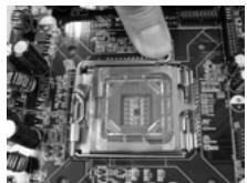 ASROCK 775V88 PLUS - Fase 1. Aprière la presa: - 1