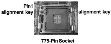 ASROCK 775V88 PLUS - 775-LAND CPU Installation - 7