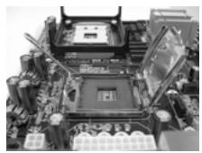 ASROCK 775V88 PLUS - Instalación de Procesador - 4