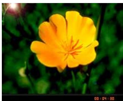 TRANSCEND MP850 - Jouer des fichiers video MTV - 3