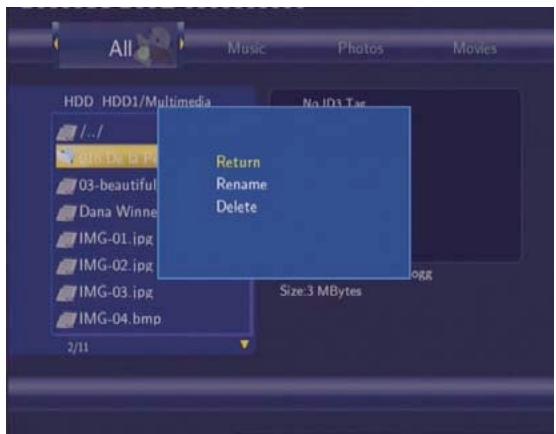 EMTEC HDD MOVIE CUBE Q800 - Renommer / Supprimer des fichiers - 1