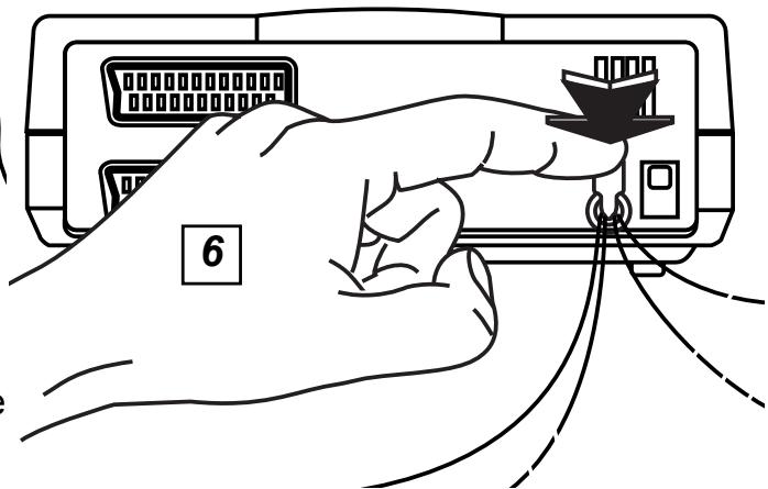 WORLDSAT FLY LINK 260 - MONTAGE DES OPTICLINK - 5