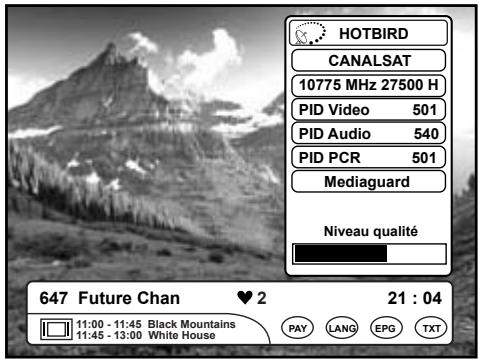 WORLDSAT MAESTRO 9900 NG4 - INFORMATIONS SUR LA CHAINE - 1