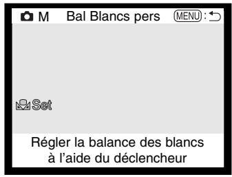 MINOLTA DIMAGE S404 - Balance des BLANCS personnalisée - 2