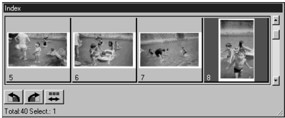 MINOLTA DIMAGE SCAN SPEED - Rotation des vues de l'index - 1