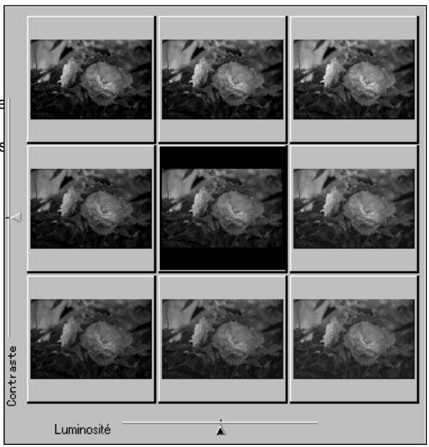 MINOLTA DIMAGE SCAN SPEED - Cliquez sur l'imagette ou déplacez les curseurs pour modifier le contraste et/ou la luminosité. - 2