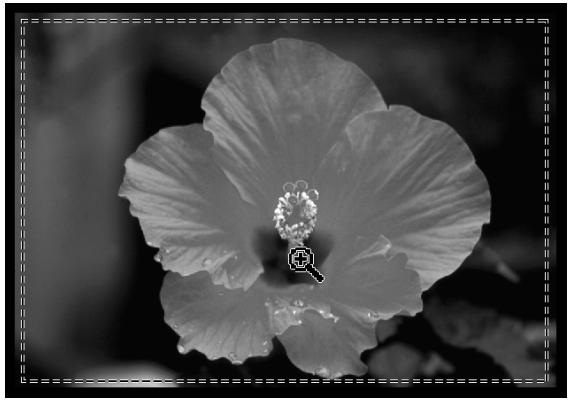 MINOLTA DIMAGE SCAN SPEED - Cliquez n'importe où dans l'image pour l'agrandir. - 1