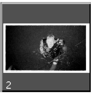 MINOLTA DIMAGE SCAN SPEED - Cliquez sur les imagettes que vous souhaitez numériser. - 1