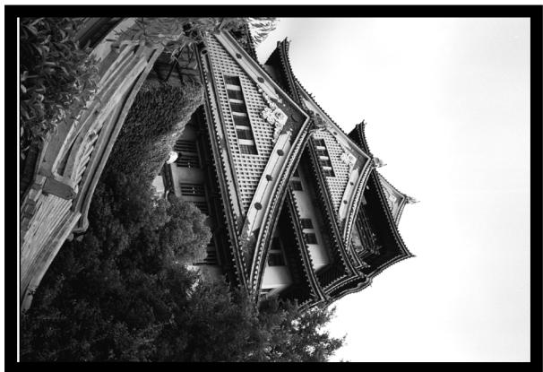 MINOLTA DIMAGE SCAN SPEED - Rotation - 3
