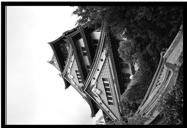 MINOLTA DIMAGE SCAN SPEED - Rotation - 1