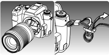MINOLTA DYNAX 5D - 2