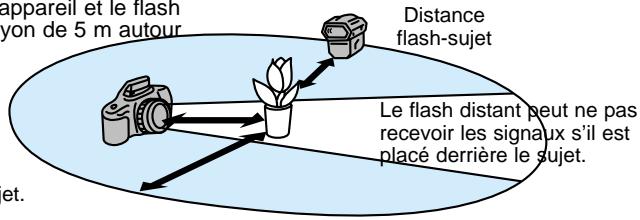 MINOLTA MAXXUM 5 - Disposer le flash détaché et l'appareil en s'inspriant du schéma ci-dessous. - 1