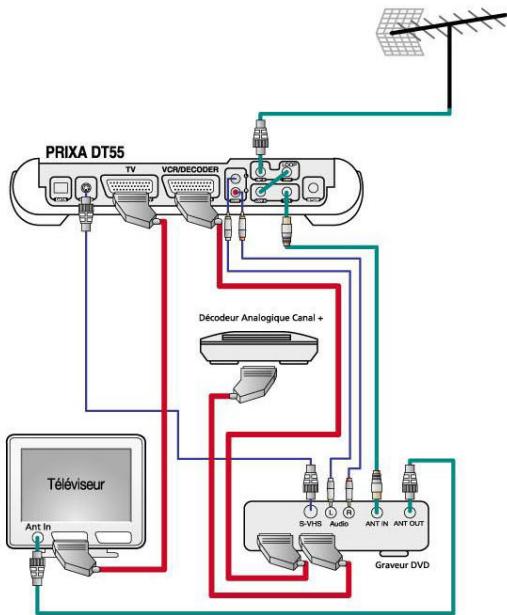 ASTON PRIXA TNT T55 - Branchements du PRIXA DT55 - 2
