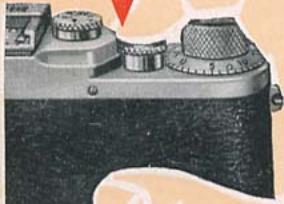 LEICA IIIC - Le leica est partout . . . - 3