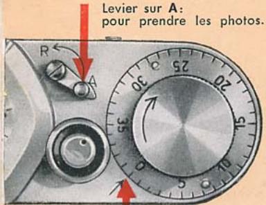 LEICA IIIC - Le leica est partout . . . - 2