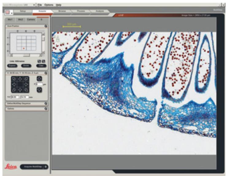 LEICA APPLICATION SUITE MULTISTEP - LAS multistep - 1
