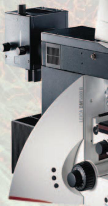 LEICA LAS IMAGE OVERLAY - Visualisation - 2