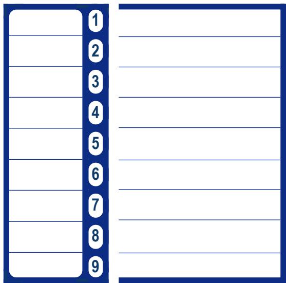 ORANGE BB300 - - APPELD'UN NUMERO EN MEMOIRE - 1