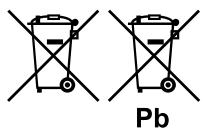 NAD C245 - INFORMATIONS CONCERNANT LA COLLECTE ET LE REJET DES PILES USAGEES (DIRECTIVE 2006/66/EC DU PARLEMENT EUROPEEN ET DU CONSEIL DE L'UNION EUROPEENNE) (POUR LES CLIENTS EUROPEENS SEULEMENT) - 1