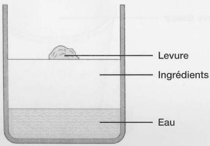 HINARI HBMC10 - Cuisson d'une miche de pain - 3