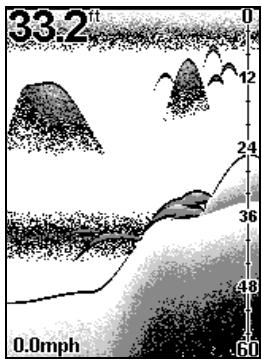 EAGLE FISHEASY 2 PORTABLE - GRAPHIQUE ENTIER (FULL CHART) - 1
