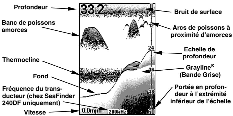 EAGLE FISHEASY 2 PORTABLE - AFFICHAGE - Fenêtre Principale - 1