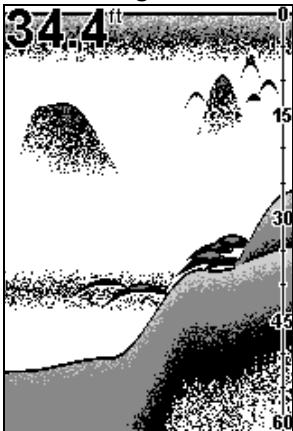 EAGLE FISHEASY 2 PORTABLE - Remarque Importante : - 1