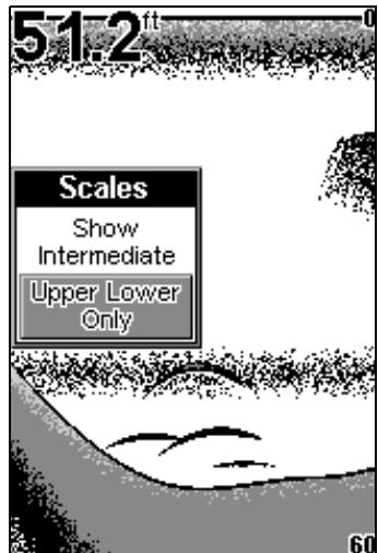 EAGLE FISHEASY 2 PORTABLE - ÉCHELLES (SCALES) - 2