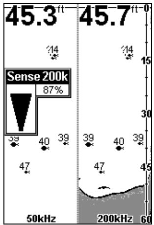 EAGLE FISHEASY 2 PORTABLE - AFFICHAGE DE LA DOUBLE-FRÉQUENCY (DUAL-FREQUENCY) - 3
