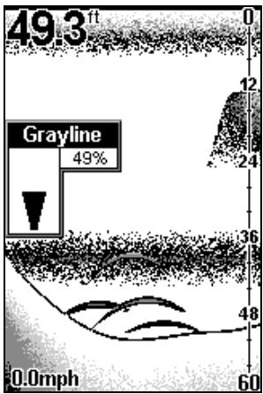 EAGLE FISHEASY 2 PORTABLE - BANDE GRISE - GRAYLINE - 1