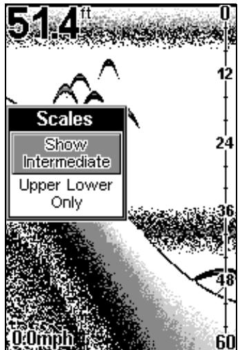 EAGLE FISHEASY 2 PORTABLE - ÉCHELLES (SCALES) - 1