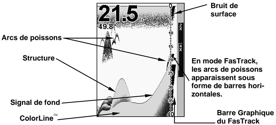 EAGLE FISHEASY 320C - FasTrackTM - 1