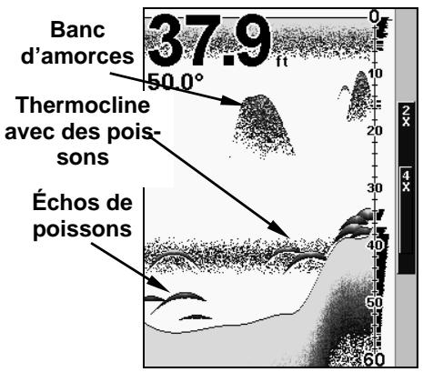 EAGLE FISHEASY 320C - Fonctionnements du Sonar - 1