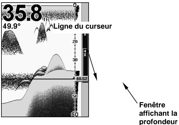 EAGLE FISHEASY 320C - Curseur de Profondeur - 1