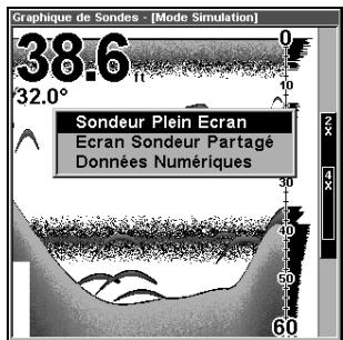 EAGLE SEAFINDER 320DF - Options d'affichage - 2