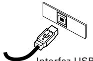 CITIZEN CT-S4000DCL - Conexión de los Cables de Interfaz - 3