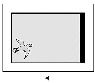 INFOCUS TD40 PAL - Réglage de l'image [PC] - 1