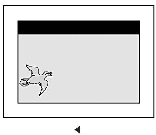 INFOCUS TD40 PAL - Réglage de l'image [PC] - 3