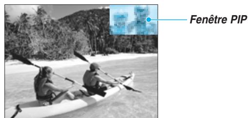 INFOCUS TD40 PAL - PIP (image dans image) - 1