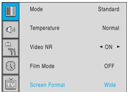 INFOCUS TD40 PAL - Screen Format - 1