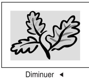 INFOCUS TD40 PAL - COLOR - 1