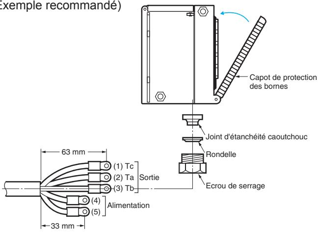 OMRON E3G - Câblage - 1