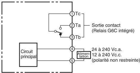 OMRON E3G - Schéma du circuit de sortie - 6