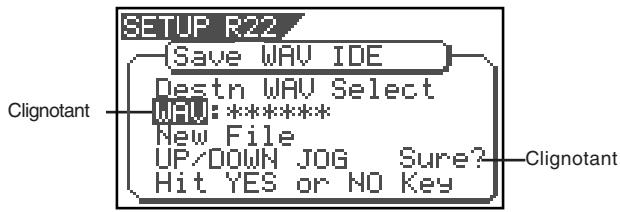 SETUP R22 Save WAV IDE Destn WAV Select WAV:***** New File UP/DOWN JOG Sure? Hit YES or NO Key Clignotant Clignotant