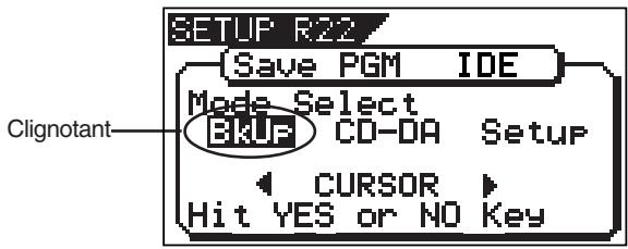 SETUP R22 Save PGM IDE Mode Select BKUP CD-DA Setup CURSOR Hit YES or NO Key